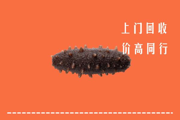 高价求购：赣州龙南市回收海参