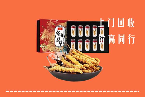 赣州龙南市回收虫草